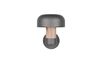 Applique extérieure FRASER TrioLighting anthracite bois – lumière 360° IP54