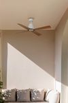 Ventilateur de Plafond TYPHOON – Élégance, Silence et Efficacité en Toute Saison