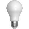 Ampoule standard LED 13W E27 3.000°K