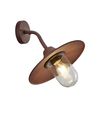 Applique extérieure BRENTA IP44 marron de Triolighting