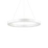 Lustre ORACLE cercle suspendu avec profilé aluminium plat Led finition Blanc mat 