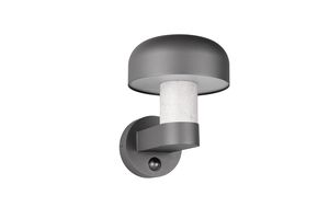 Applique extérieure FRASER TrioLighting anthracite beton – lumière 360° IP54