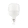 Ampoule standard opale LED 30W E27 3000°K lumière chaude